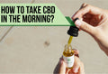 how to take cbd in the morning
