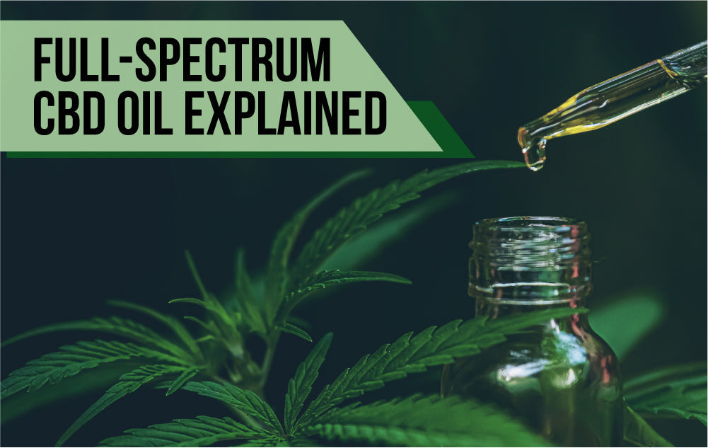 What Is Full-Spectrum CBD Oil?