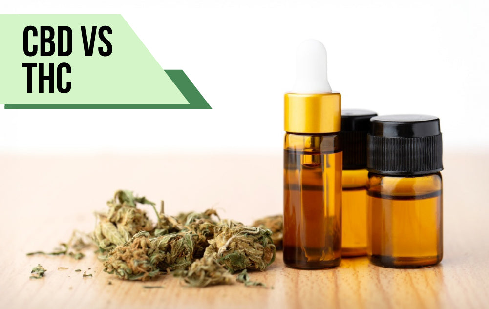 CBD vs THC: What's the Difference and Why It Matters When Choosing CBD Products