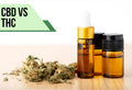 CBD vs THC: What's the Difference and Why It Matters When Choosing CBD Products