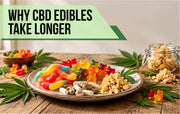 Why CBD Edibles Take Longer to Work Than Other CBD Products